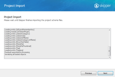 Wait for project import in Skipper Import schema defintions wizard